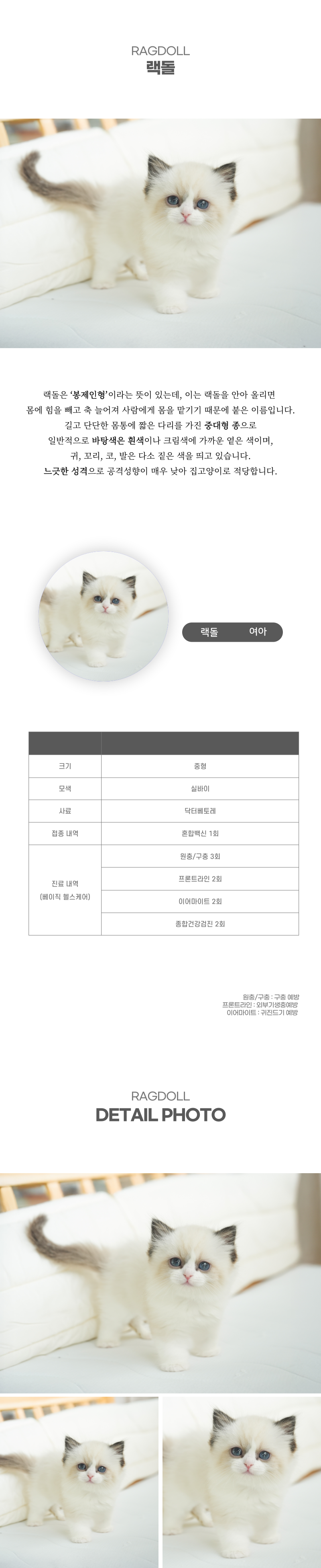 랙돌_상세이미지_2
